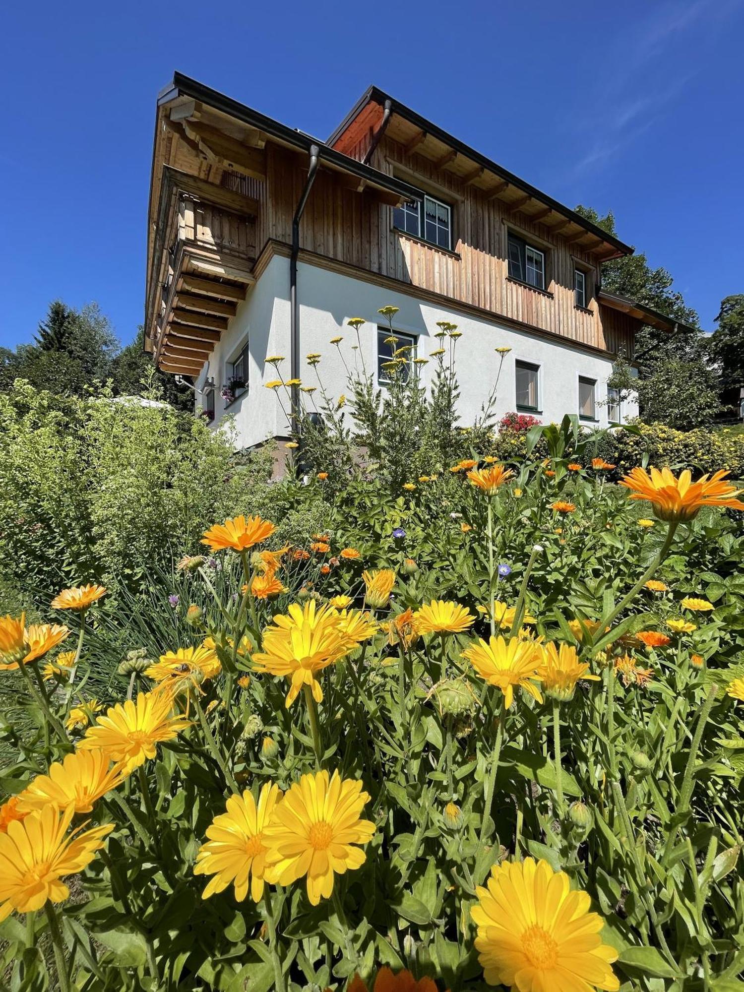 Haus Rosenheim Ramsau am Dachstein Exterior foto